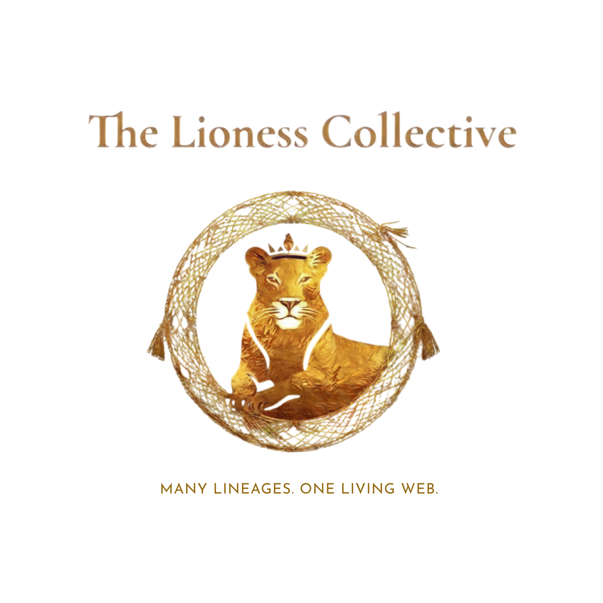 The Lioness Collective
